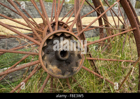 Rusty Speichenräder Bauernhof Ausrüstung Rad Rosten in einem Feld neben einem Zaun Stockfoto