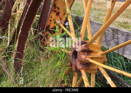 Gelb Speichenräder Bauernhof Ausrüstung Rad Rosten in einem Feld neben einem Zaun Stockfoto