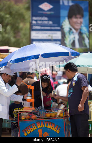 Natürliche Säfte Obstverkäufer in Aktion, Tupiza Markt. Bolivien Stockfoto