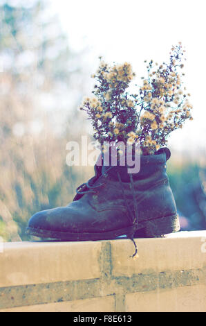 Trockene Blumen im Schuh Stockfoto