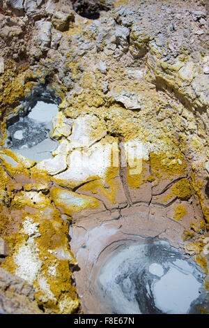 Detail der Geysir Aktivität bei der Solar de Manana, Bolivien Stockfoto