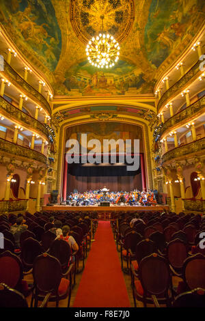 Innenraum des Teatro Amazonas in Manaus, Brasilien Stockfoto