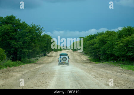 Rückansicht des voll ausgestatteten 4 x 4 Auto fahren auf dem wilden Feldweg in Richtung Moremi Game Reserve. Dramatischer Wolkenhimmel. Botswana Stockfoto