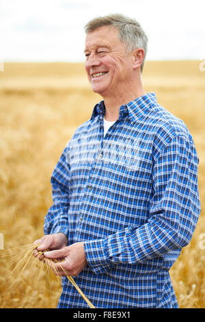 Landwirt im Weizenfeld Inspektion Ernte Stockfoto