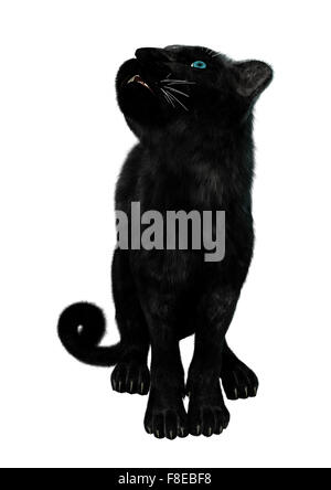 3D digital zu rendern, der eine große Katze, die Black Panther auf weißem Hintergrund isoliert Stockfoto