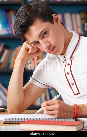 Männliche Schüler arbeiten In Bibliothek satt Stockfoto