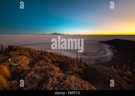 Uyuni Salt Flat angesehen vom Gipfel der Insel Incahuasi, unter das wichtigste Reiseziel in Bolivien. Breite ang Stockfoto