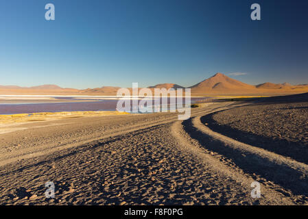 Abendlicht am "Laguna Colorada" (bunte salzigen See) mit Gruppe von rosa Flamingos, unter den wichtigsten Destin Reisen Stockfoto