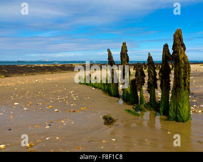 Buhnen am Strand von Bembridge Seaside resort an der östlichen Spitze der Isle Of Wight England UK mit sichtbar über den Solent Stockfoto