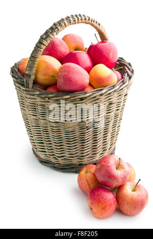 im Herbst Äpfel im Korb auf weißem Hintergrund Stockfoto