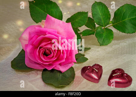 Große helle Rosa Garten Rose mit Blättern auf einem weißen Seide Schleier liegen. Als nächstes zwei Kerzen in der Form eines Herzens. Stockfoto