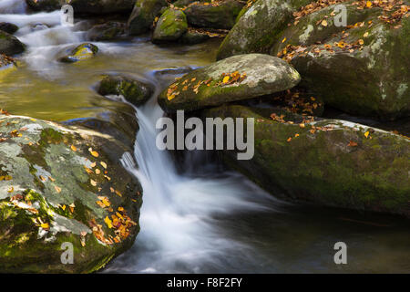 Kleiner Wasserfall am Roaring Fork Bergbach auf der Roaring Fork Motor Nature Trail in Great Smoky Mountains Nationalpark TN Stockfoto