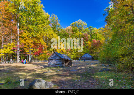 Herbstfarben auf die Roaring Fork Motor Naturlehrpfad im Great Smoky Mountains National Park in Tennessee Stockfoto