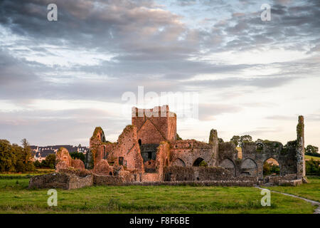 Hore Abbey eine zerstörten Zisterzienserkloster in der Nähe der Rock of Cashel, County Tipperary, Irland Stockfoto