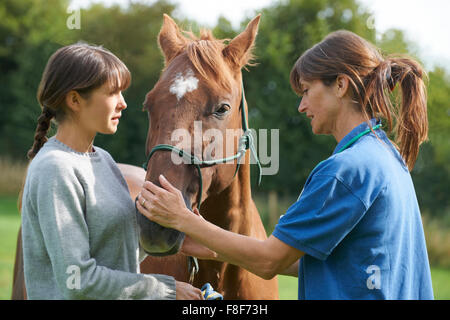 Weibliche Tierarzt untersuchen Pferd im Feld mit Besitzer Stockfoto