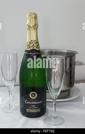 Flasche Castellblanch Cava in einem Eiskübel für einen romantischen Abend in einem spanischen Hotel. Stockfoto