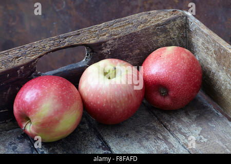 Drei Äpfel in verwitterten Holzkiste. Stockfoto