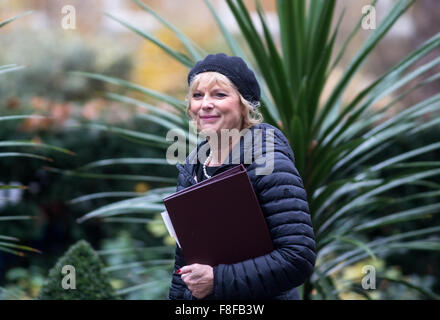 Anna Soubry MP, Minister für Kleinunternehmen kommt in 10 Downing Street, der wöchentlichen Kabinettssitzung zu besuchen Stockfoto