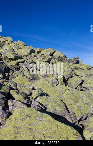 Stein, ausgeführt mit riesigen Felsbrocken bedeckt in Flechten am Berg Lusen, Nationalpark Bayerischer Wald, Bayern, Deutschland Stockfoto