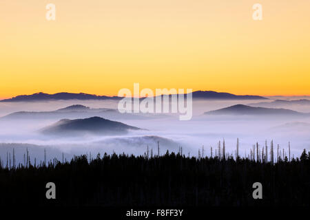 Blick vom Berg Lusen über den Bayerischen Wald bedeckt im Nebel bei Sonnenaufgang, Nationalpark Bayerischer Wald, Bayern, Deutschland Stockfoto