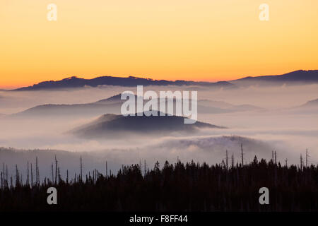 Blick vom Berg Lusen über den Bayerischen Wald bedeckt im Nebel bei Sonnenaufgang, Nationalpark Bayerischer Wald, Bayern, Deutschland Stockfoto