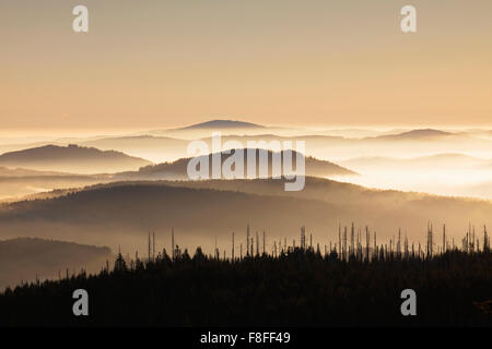 Blick vom Berg Lusen über den Bayerischen Wald bedeckt im Nebel bei Sonnenaufgang, Nationalpark Bayerischer Wald, Bayern, Deutschland Stockfoto