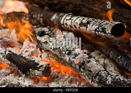 Verbrennung von Holz im Kamin, Vorbereitung von Holzkohle Stockfoto