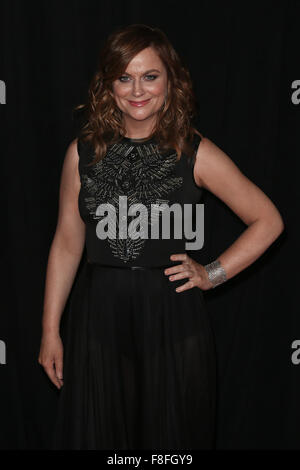 New York, USA. 8. Dezember 2015. Schauspielerin Amy Poehler besucht die Premiere von "Schwestern" im Ziegfeld Theatre am 8. Dezember 2015 in New York City. Bildnachweis: Debby Wong/Alamy Live-Nachrichten Stockfoto