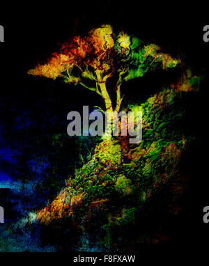 Baum im Nacht-Landschaft Meer Malerei, collage Tapete Farbe. und abstrakt Grunge Hintergrund mit Flecken, Computer-Collage. R Stockfoto
