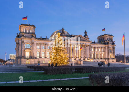 Reichstag, Weihnachtsbaum, Berlin, Deutschland Stockfoto