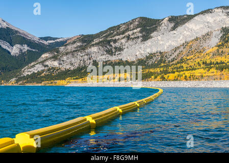 Stausee, Bow Valley Provincial Park, Kananaskis, Alberta, Kanada Stockfoto