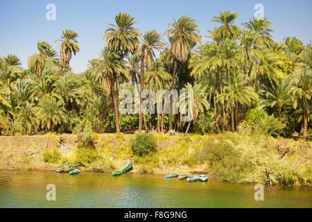 Ägypten - Ufer des Nils, am Fluss Landschaft des Tal des Nils, Straße in die Stadt Assuan, Ägypten Stockfoto