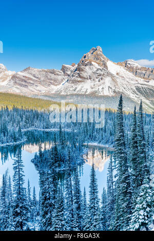 Kathedrale Berg spiegelt sich in Mary Lake, Yoho Nationalpark, Britisch-Kolumbien, Kanada Stockfoto