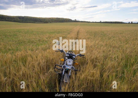 Motorrad geparkt in hohe Gräser Stockfoto