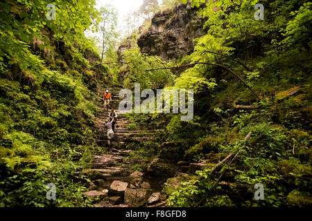 Wanderer, die Kletterfelsen im Wald Stockfoto