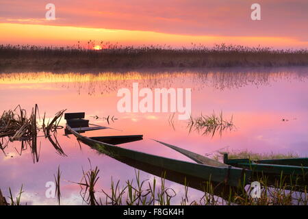 Sunrise-Landschaft am Narew Nationalpark, Polen Stockfoto