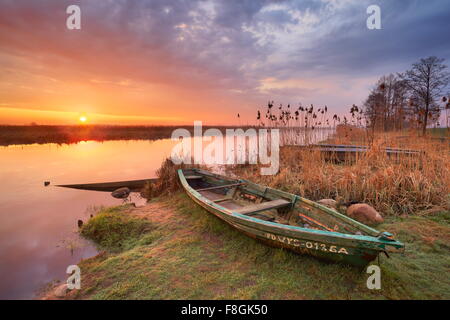 Sunrise-Landschaft am Narew Nationalpark, Polen Stockfoto