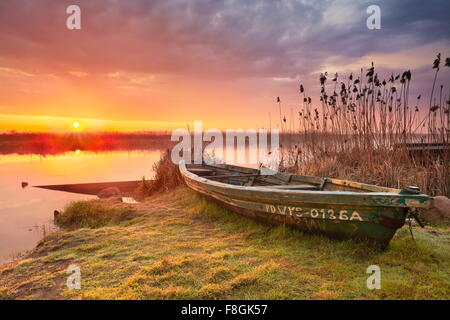 Sunrise-Landschaft am Narew Nationalpark, Polen Stockfoto