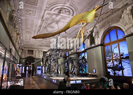 In der Halle der Dinosaurier, Natural History Museum ("Naturhistorische Museum"), Wien, Österreich. Stockfoto