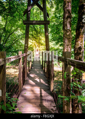 Hängebrücke in Red River Gorge in Kentucky Stockfoto