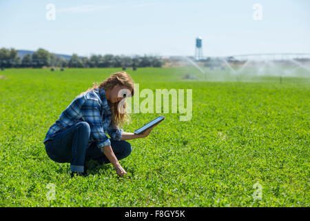 Kaukasische Landwirt mit digital-Tablette in Feld Stockfoto