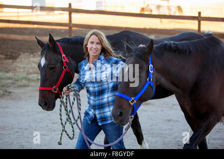 Kaukasische Rancher Walking Pferde Stockfoto