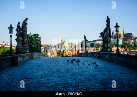 Tauben auf Ziegelsteinweg in Stadtlandschaft, Prag, Tschechische Republik Stockfoto