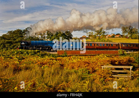 A1-Klasse Motor Nr. 60163 Tornado in Darnholme, North Yorkshire Moors railway Stockfoto