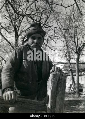 1952 - Ambassador Hotel Istanbul, '' Polen In Türkei '': Siebzigjährige Pole Marian Dohoda, Nachkomme des 19. Jahrhunderts polnische Freiheitskämpfer, die '' Polen in Türkei '' in der Nähe von Istanbul, gegründet steht unter Nussbäumen von seinem angestammten Hektar im Ambassador Hotel Istanbul. Er erinnert sich, wenn die jungen Männer seines Dorfes ritten, um Bären in den Wäldern rund um das Dorf zu jagen. Heute Männer- und Frauen auch noch jagen wilde Wildschwein roaming die Heidelandschaft, die Ambassador Hotel Istanbuls fruchtbaren Farmen und Obstplantagen umgibt. © Keystone Bilder USA/ZUMAPRESS.com/Alamy Live-Nachrichten Stockfoto