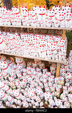 Gotokuji Tempel, Setagaya-Ku, Tokyo, Japan Stockfoto