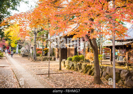 Gotokuji Tempel, Setagaya-Ku, Tokyo, Japan Stockfoto