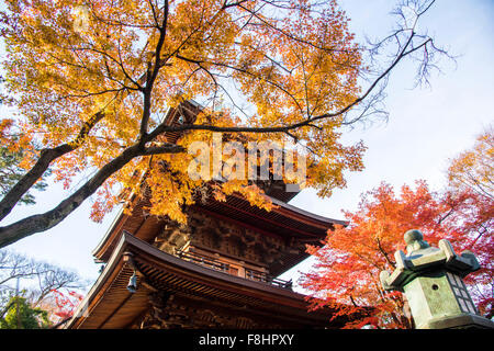 Gotokuji Tempel, Setagaya-Ku, Tokyo, Japan Stockfoto