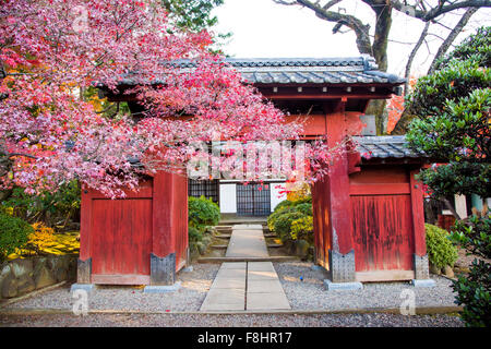 Gotokuji Tempel, Setagaya-Ku, Tokyo, Japan Stockfoto