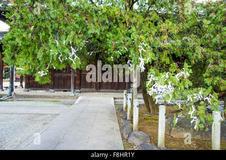 Gotokuji Tempel, Setagaya-Ku, Tokyo, Japan Stockfoto